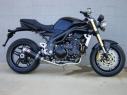 Výfuk Ixil ST 1050 Speed Triple, 06-07